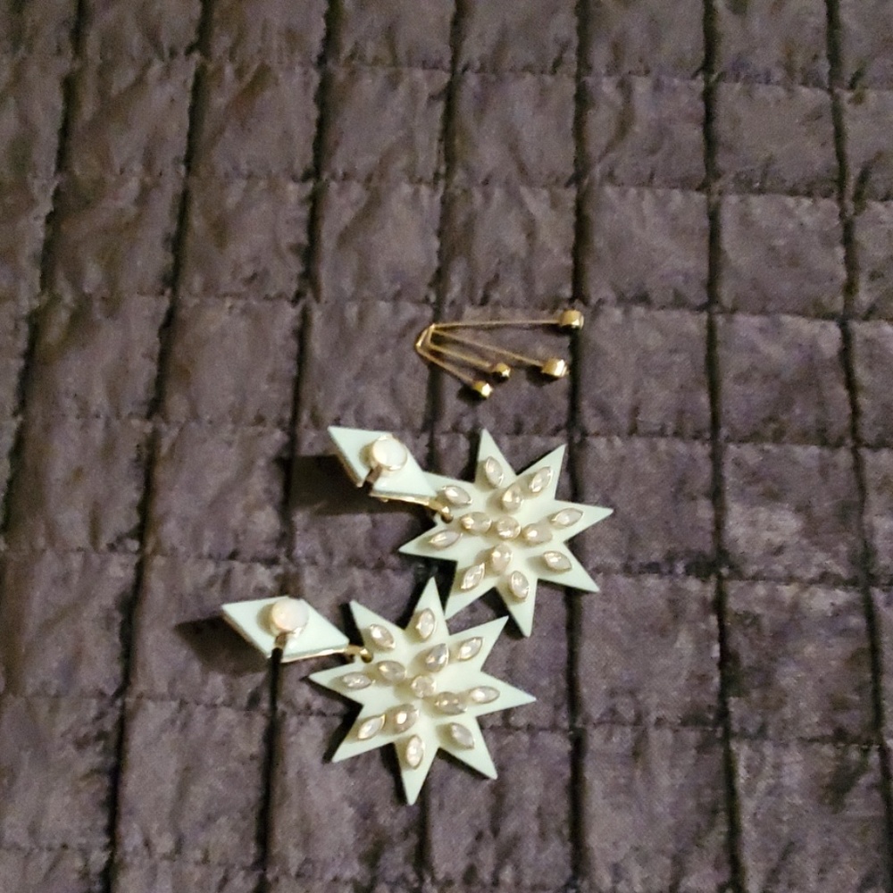 Beautiful earring bundle